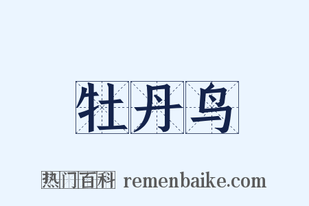 牡丹鸟是什么意思的图片